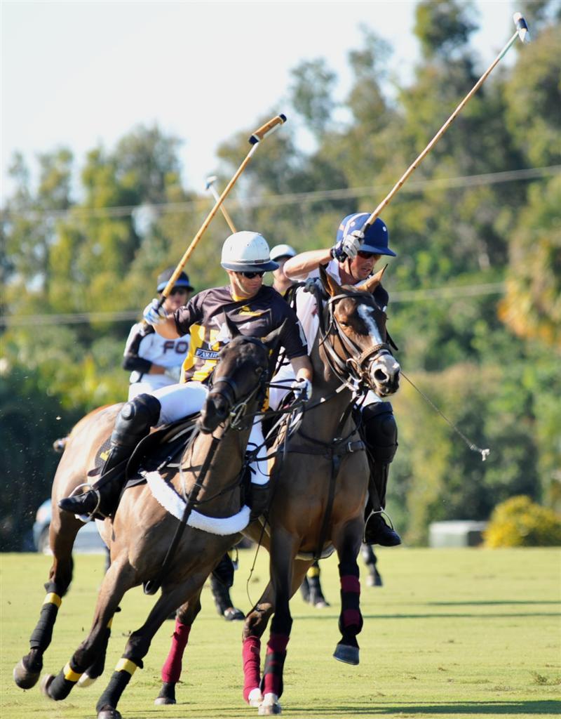 Faraway wins Flat out 14 goals January 7 2012